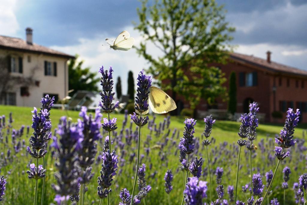 B&B Ca Bianca Dell'Abbadessa San Lazzaro di Savena Ngoại thất bức ảnh