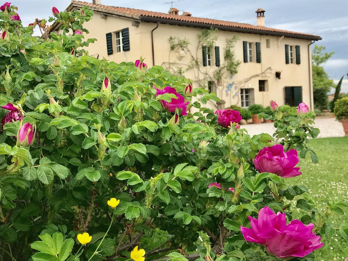 B&B Ca Bianca Dell'Abbadessa San Lazzaro di Savena Ngoại thất bức ảnh